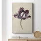 Antique Tulip Study I Premium Gallery Wrapped Canvas - Ready to Hang