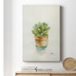 Succulent II - Canvas Art Print