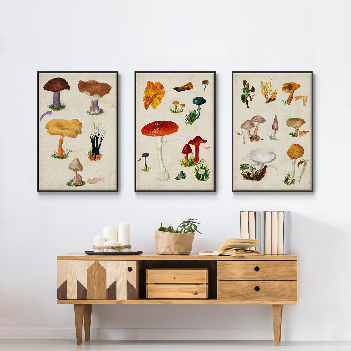 Mushroom Species IV - Framed Premium Gallery Wrapped Canvas L Frame 3 Piece Set - Ready to Hang