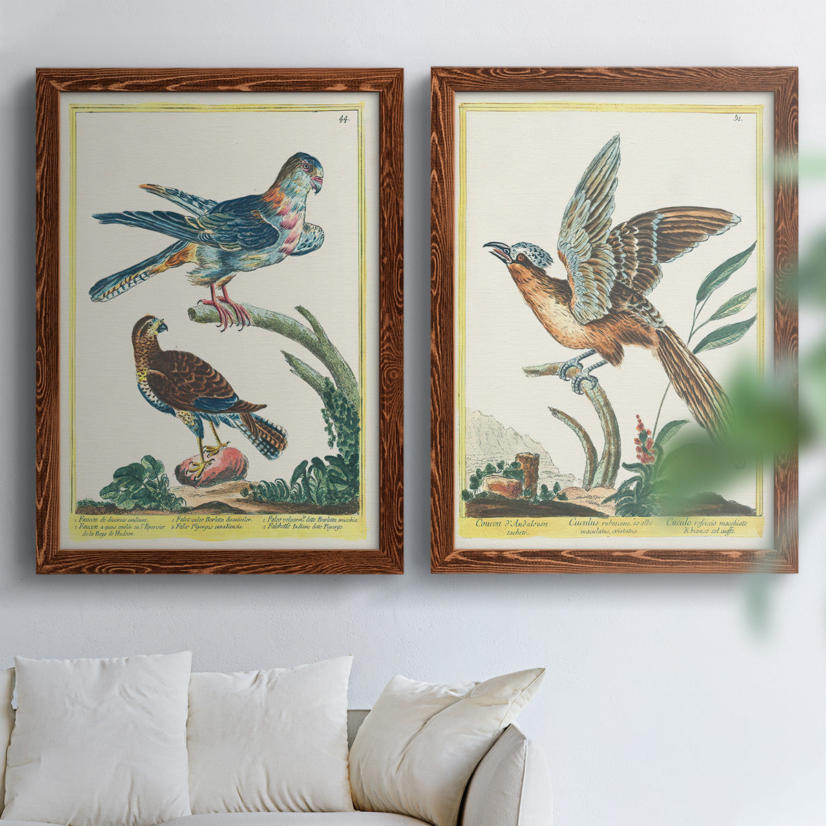 Set of two maple barnwood framed canvas prints depicting soft clustered strokes, hazy edges, and spacious white fields arranged across two complementary compositions above a sofa in a bright living space.