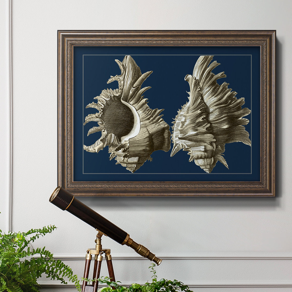 Conch Shells on Navy II Premium Framed Canvas- Ready to Hang