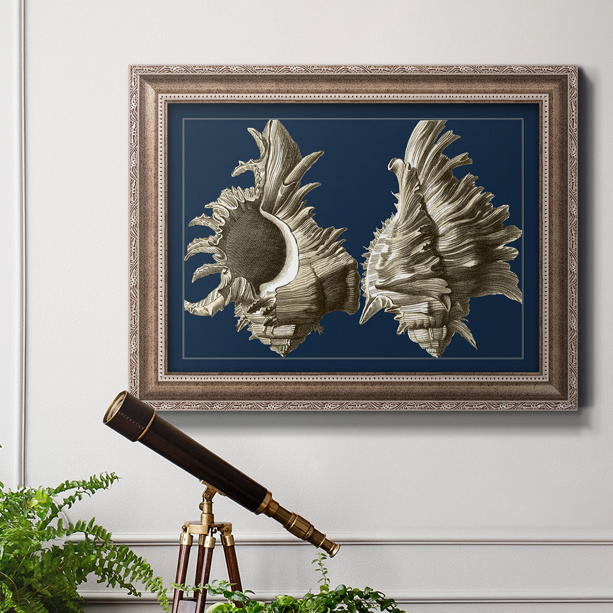 Conch Shells on Navy II Premium Framed Canvas- Ready to Hang