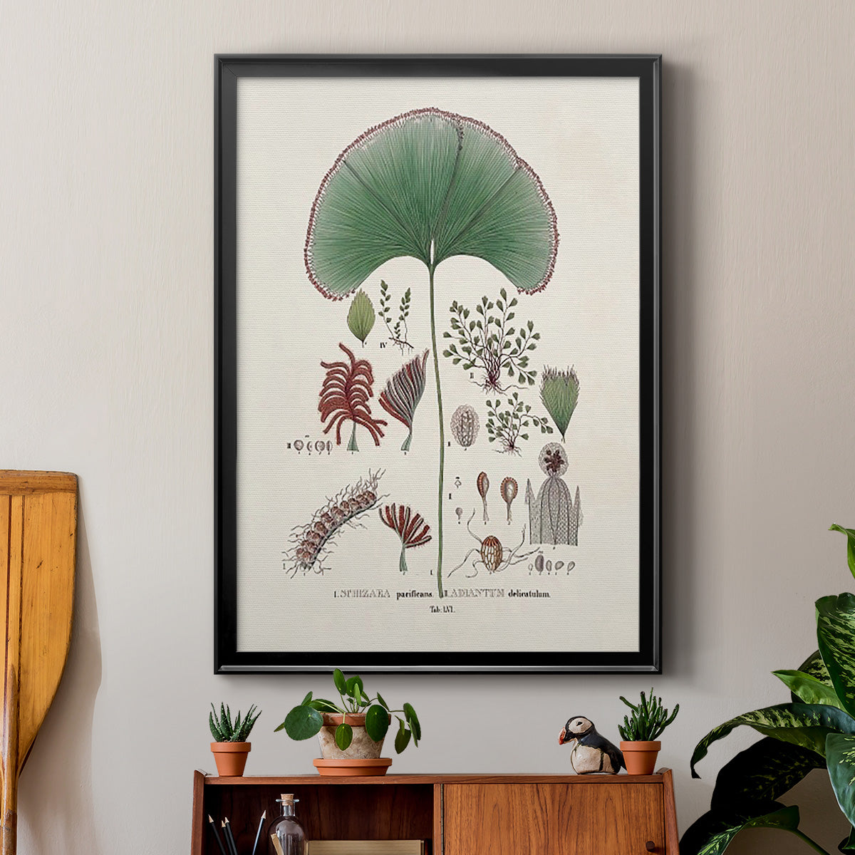 Botanical Society Ferns III - Modern Framed Canvas Print