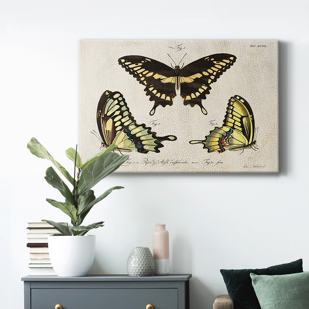 Crackled Butterflies I Premium Gallery Wrapped Canvas - Ready to Hang