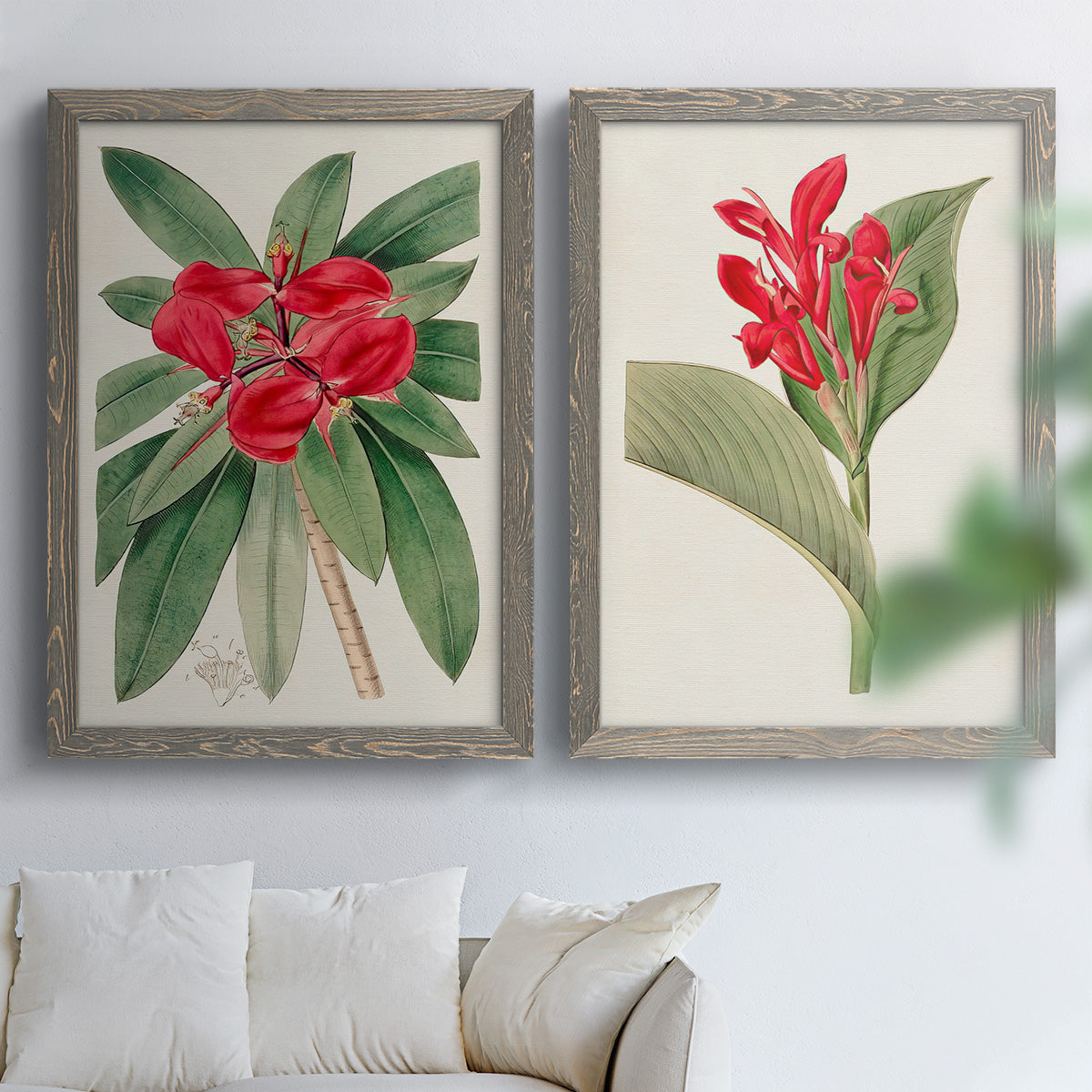 Set of two gray barnwood framed canvas prints depicting large green leaves, red blossoms, and archival cream paper arranged across two complementary compositions above a sofa in a bright living space.