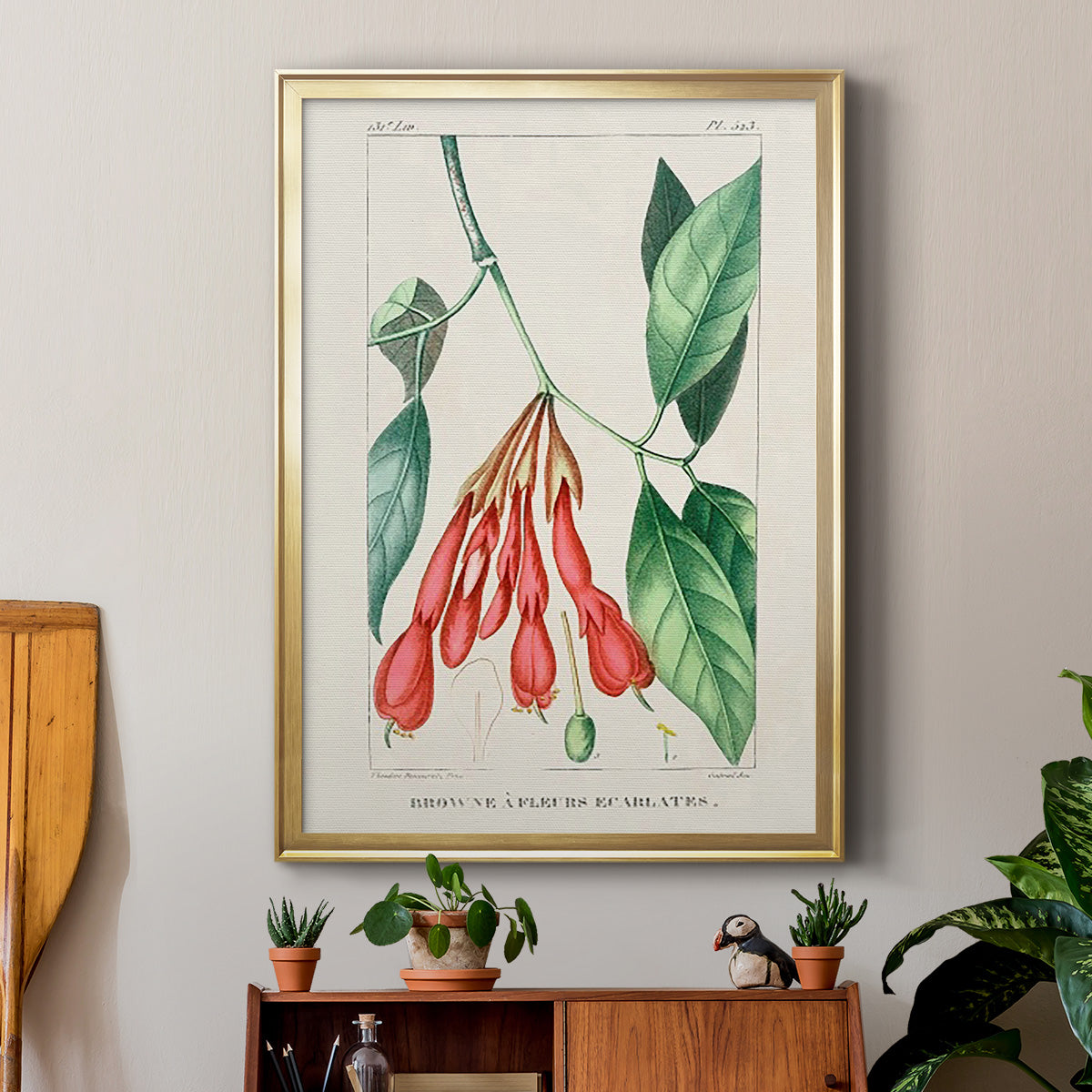 Turpin Tropical Botanicals I - Modern Framed Canvas Print