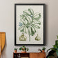 Buchoz Tropicals IX - Modern Framed Canvas Print