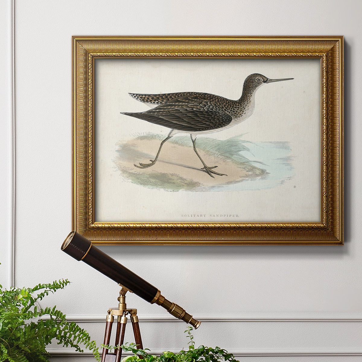 Morris Sandpipers VII Premium Framed Canvas- Ready to Hang