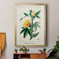 Turpin Tropical Botanicals VI - Modern Framed Canvas Print