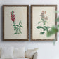 Set of two walnut barnwood framed canvas prints depicting a traditional botanical print pair with delicate blossoms leafy stems and scientific plate details above a sofa in a bright living space.