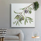 Olive Branch I - Canvas Art Print