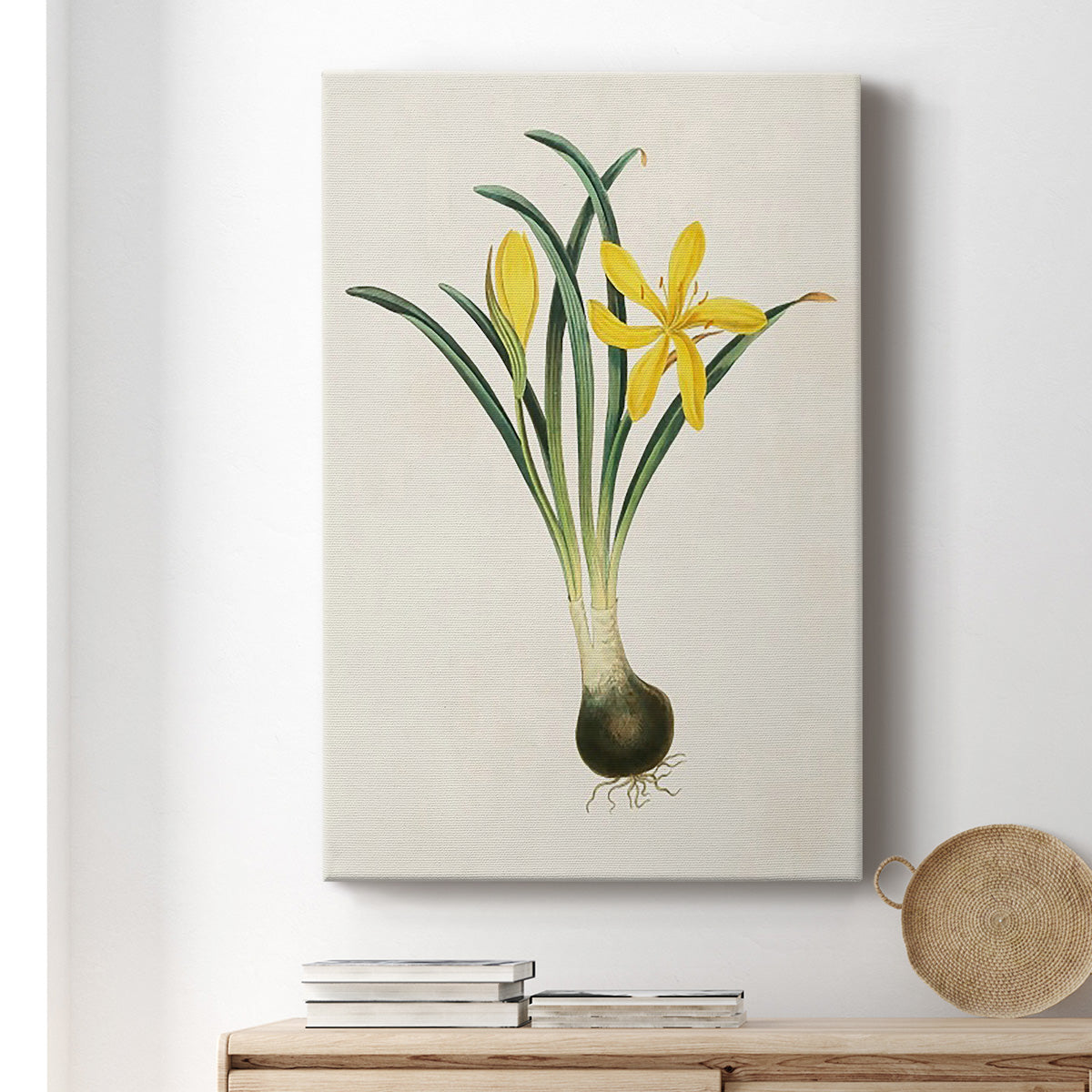 Flowers of the Seasons VI - Canvas Art Print