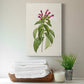 Pretty Pink Botanicals VIII Premium Gallery Wrapped Canvas - Ready to Hang