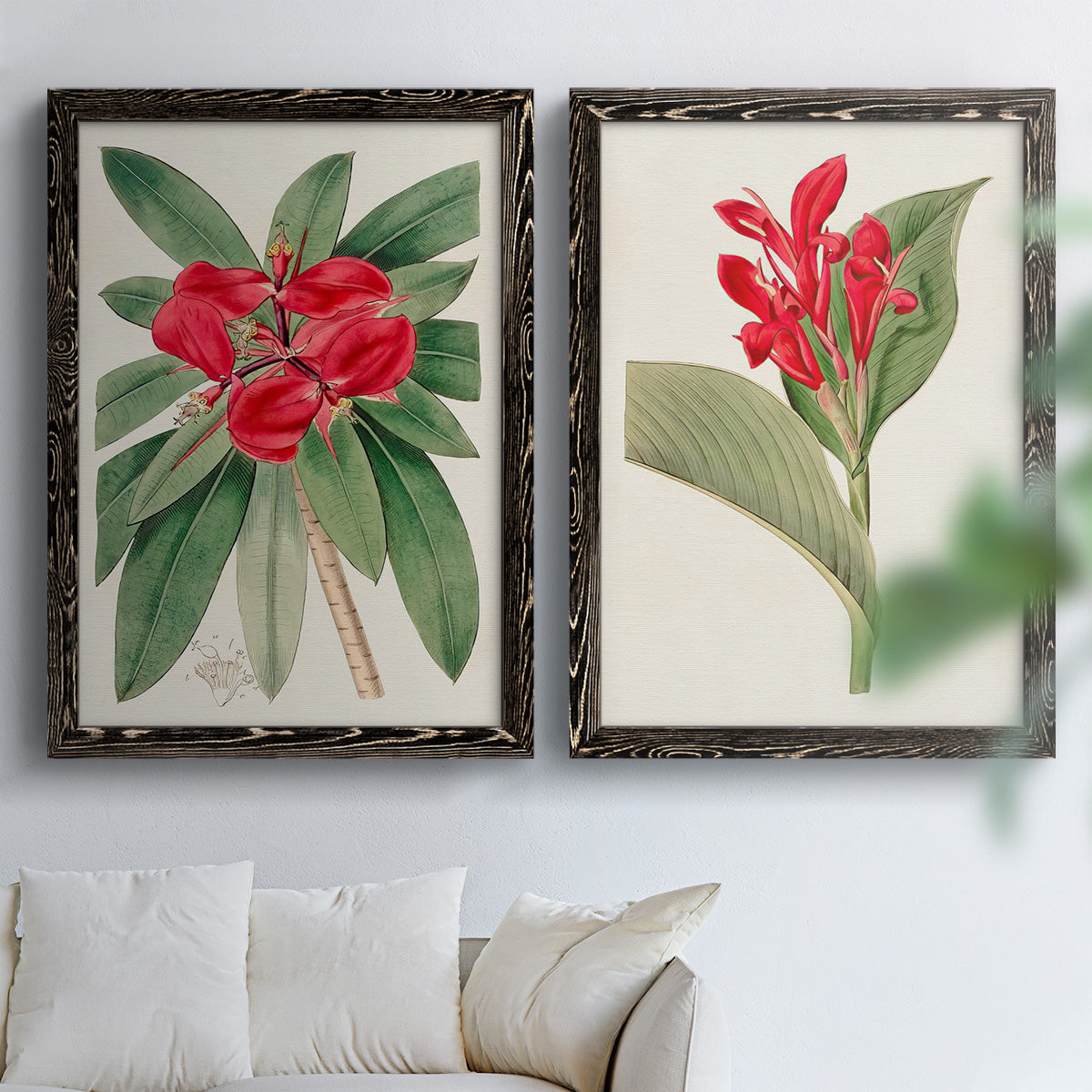 Set of two black barnwood framed canvas prints depicting large green leaves, red blossoms, and archival cream paper arranged across two complementary compositions above a sofa in a bright living space.