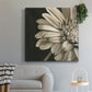 Classical Blooms IV - Canvas Art Print