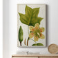 Antique Flowering Trees IV Premium Gallery Wrapped Canvas - Ready to Hang