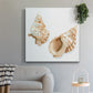 Watercolor Shells VII-Premium Gallery Wrapped Canvas - Ready to Hang