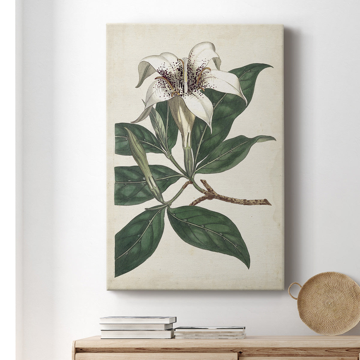 Ivory Garden I Premium Gallery Wrapped Canvas - Ready to Hang