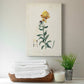 Traditional Botanical III Premium Gallery Wrapped Canvas - Ready to Hang