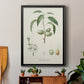 Antique Almond Botanical I - Modern Framed Canvas Print