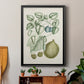 Buchoz Tropicals VIII - Modern Framed Canvas Print