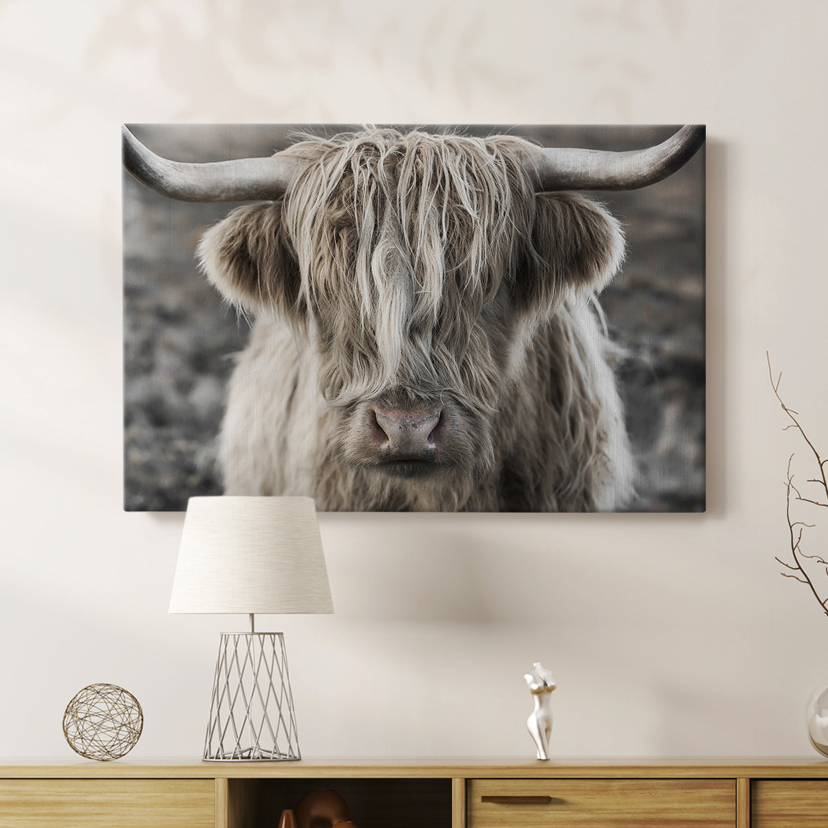 Highland cow with long hair showing expression in moody landscape during early morning light