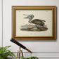 Audubons Brown Pelican - Ornate Framed Canvas Print