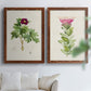 Set of two maple barnwood framed canvas prints depicting peonies thistles leafy stems and archival cream paper arranged across two complementary compositions above a sofa in a bright living space.