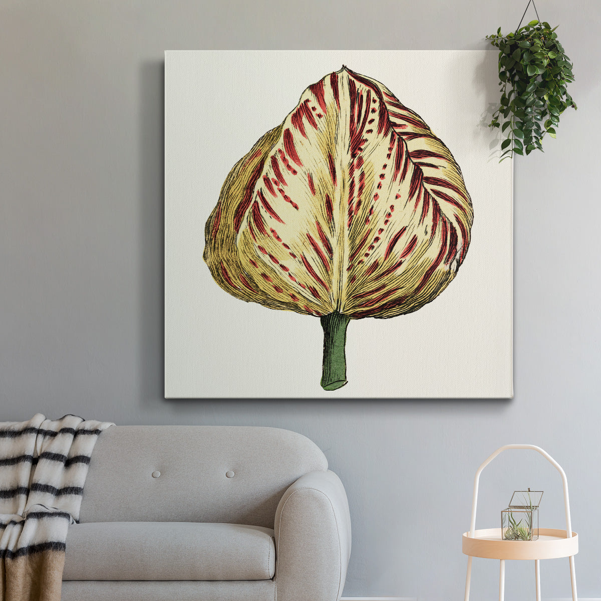 Tulip Garden IX - Canvas Art Print