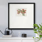 Amaryllis Varietals IV Premium Framed Print Double Matboard