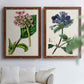 Antique Floral Folio III - Premium Framed Canvas 2 Piece Set - Ready to Hang