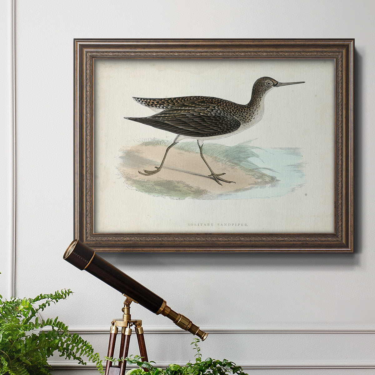 Morris Sandpipers VII Premium Framed Canvas- Ready to Hang