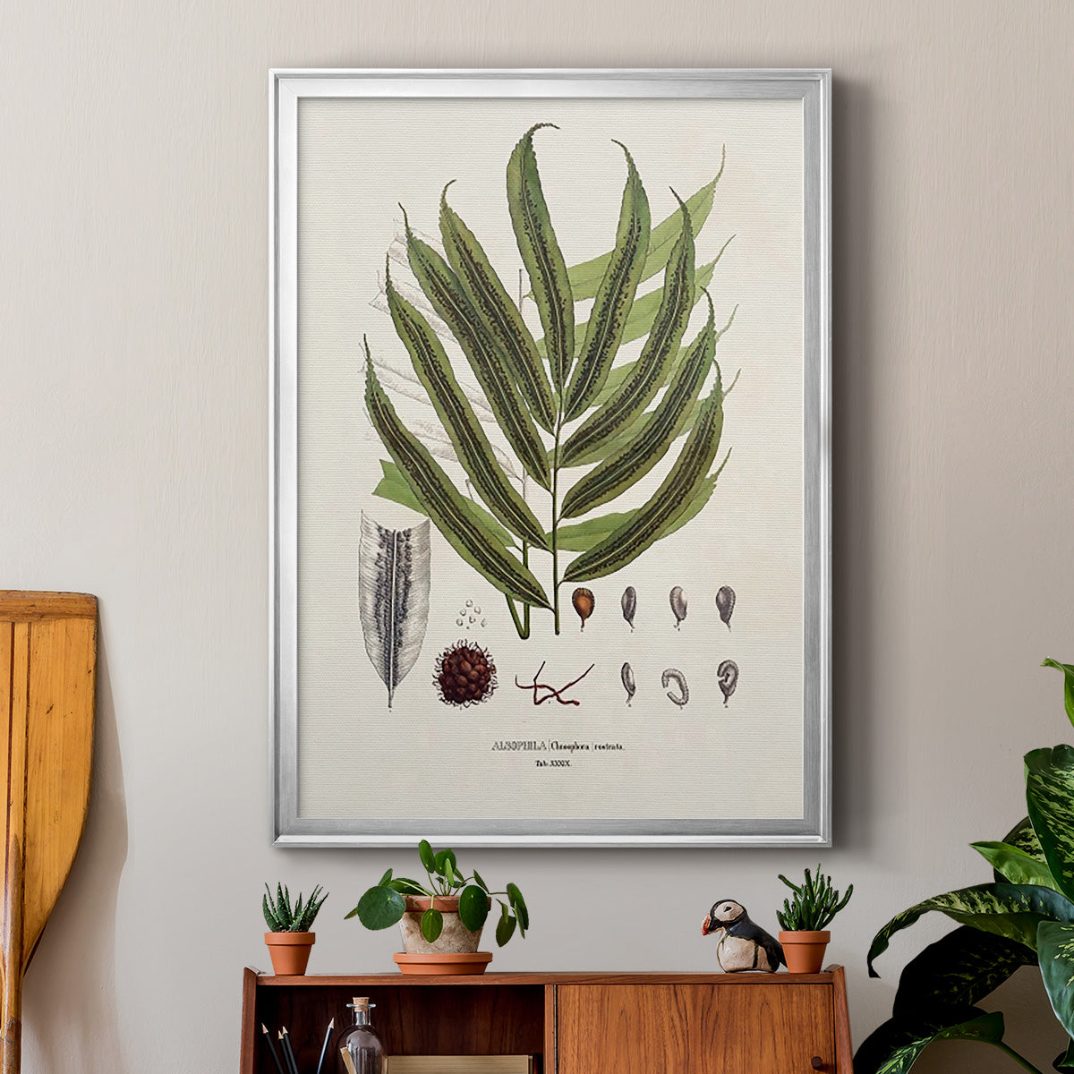 Botanical Society Ferns II - Modern Framed Canvas Print