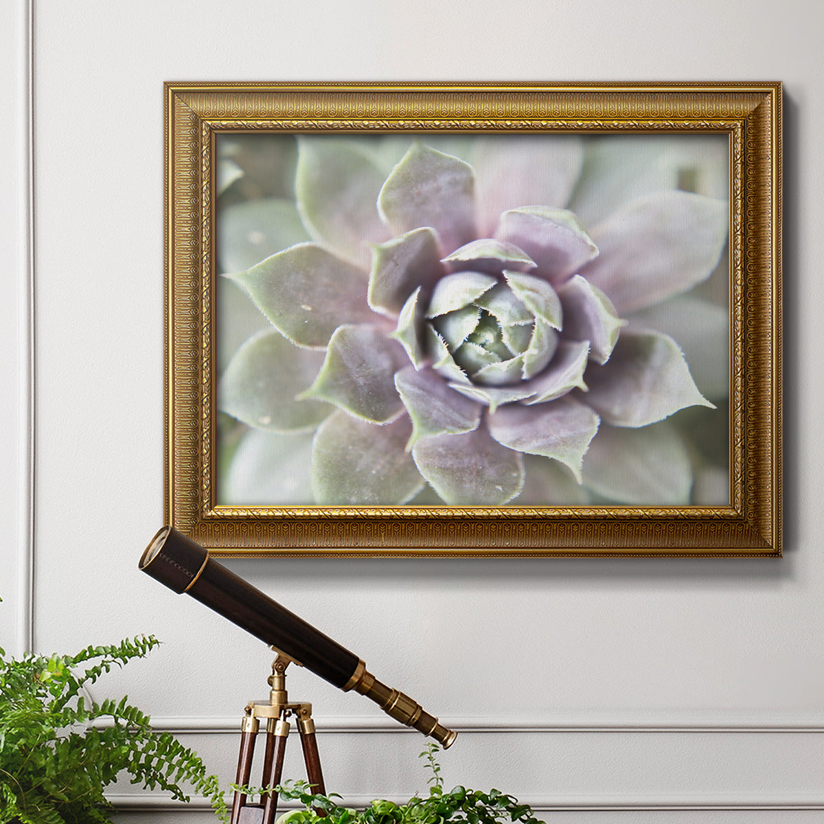 Succulent Glow II - Ornate Framed Canvas Print