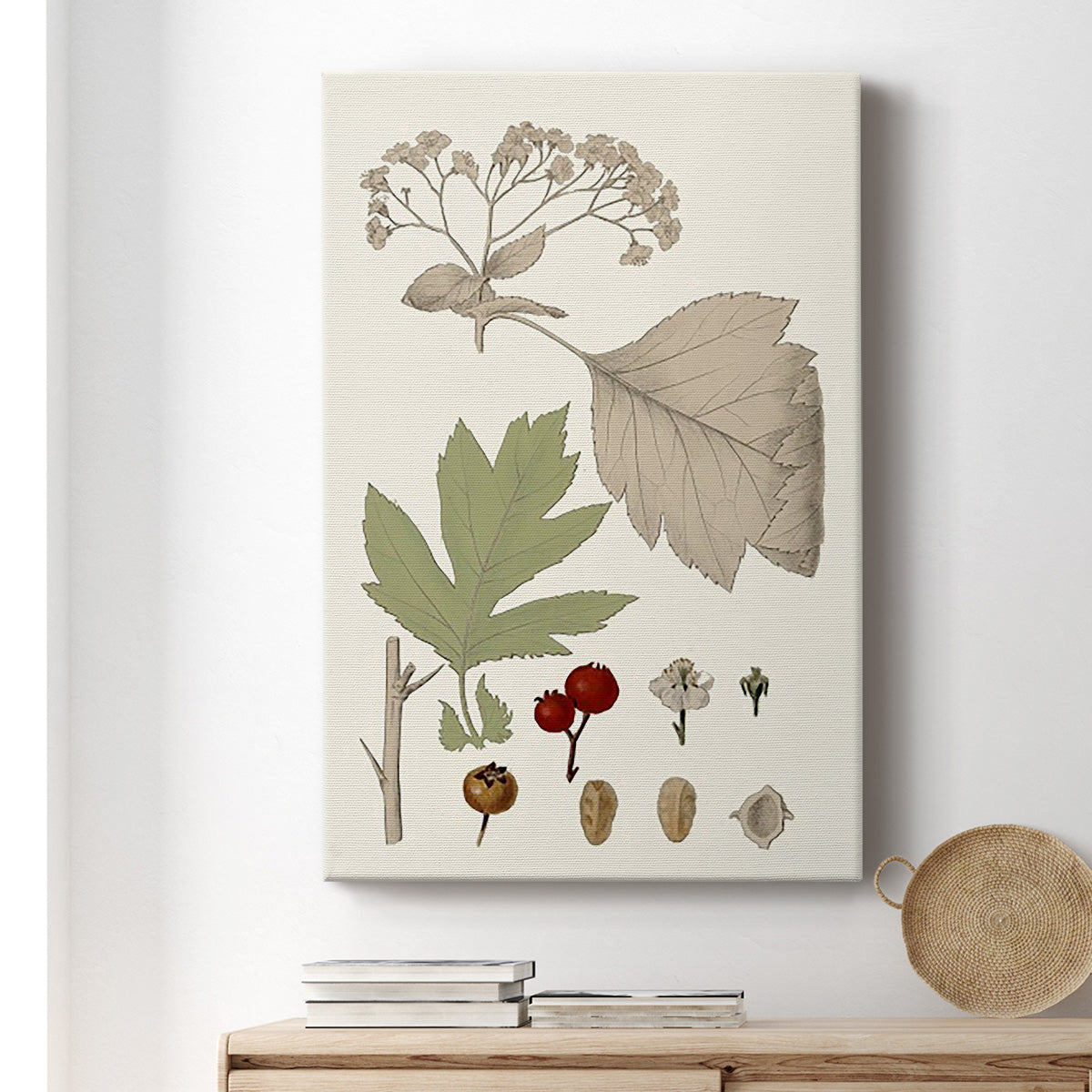 Leaves & Berries II - Canvas Art Print