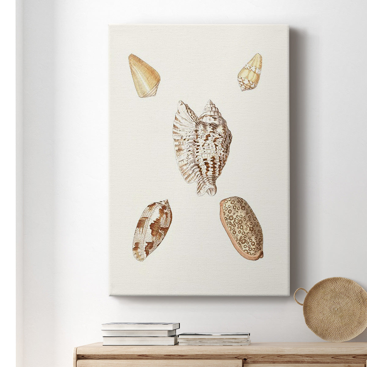 Pastel Knorr Shells VI - Canvas Art Print