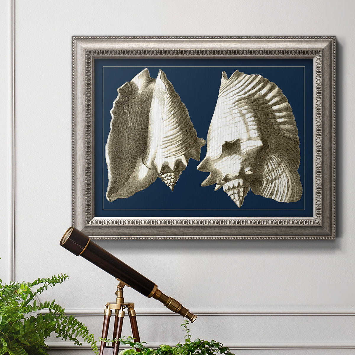 Vintage conch shell illustration on navy background in an ornate vintage silver frame displayed in a light-toned interior setting.