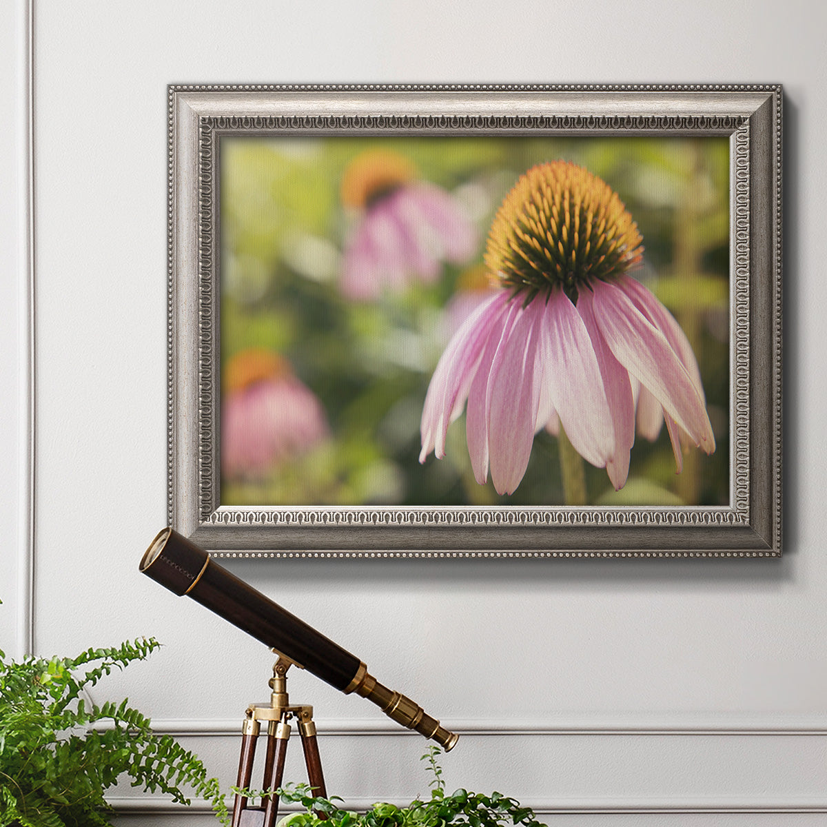 Echinacea flower botanical photography in an ornate vintage silver frame displayed in a light-toned interior setting.