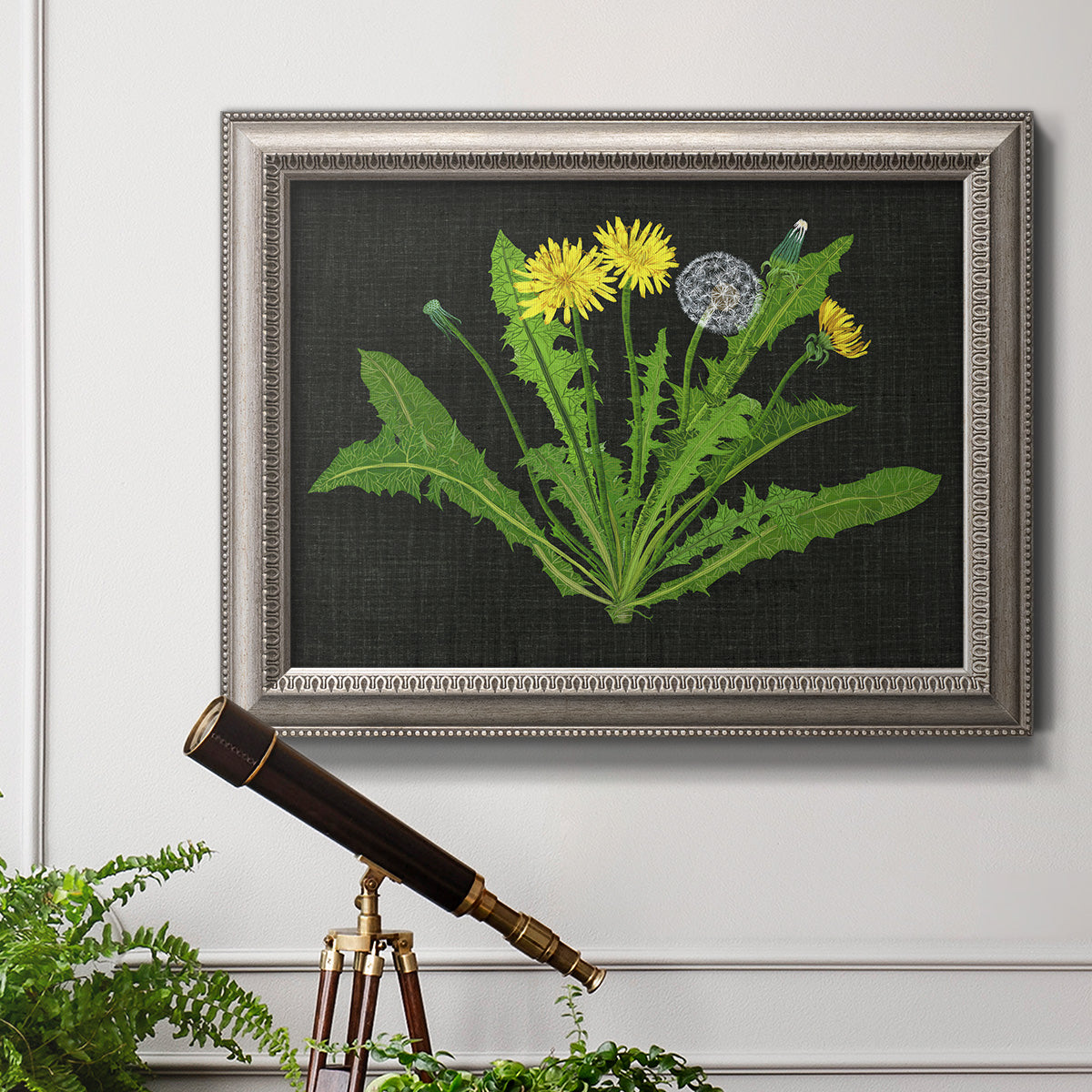 Classic botanical dandelion illustration in an ornate vintage silver frame displayed in a light-toned interior setting.