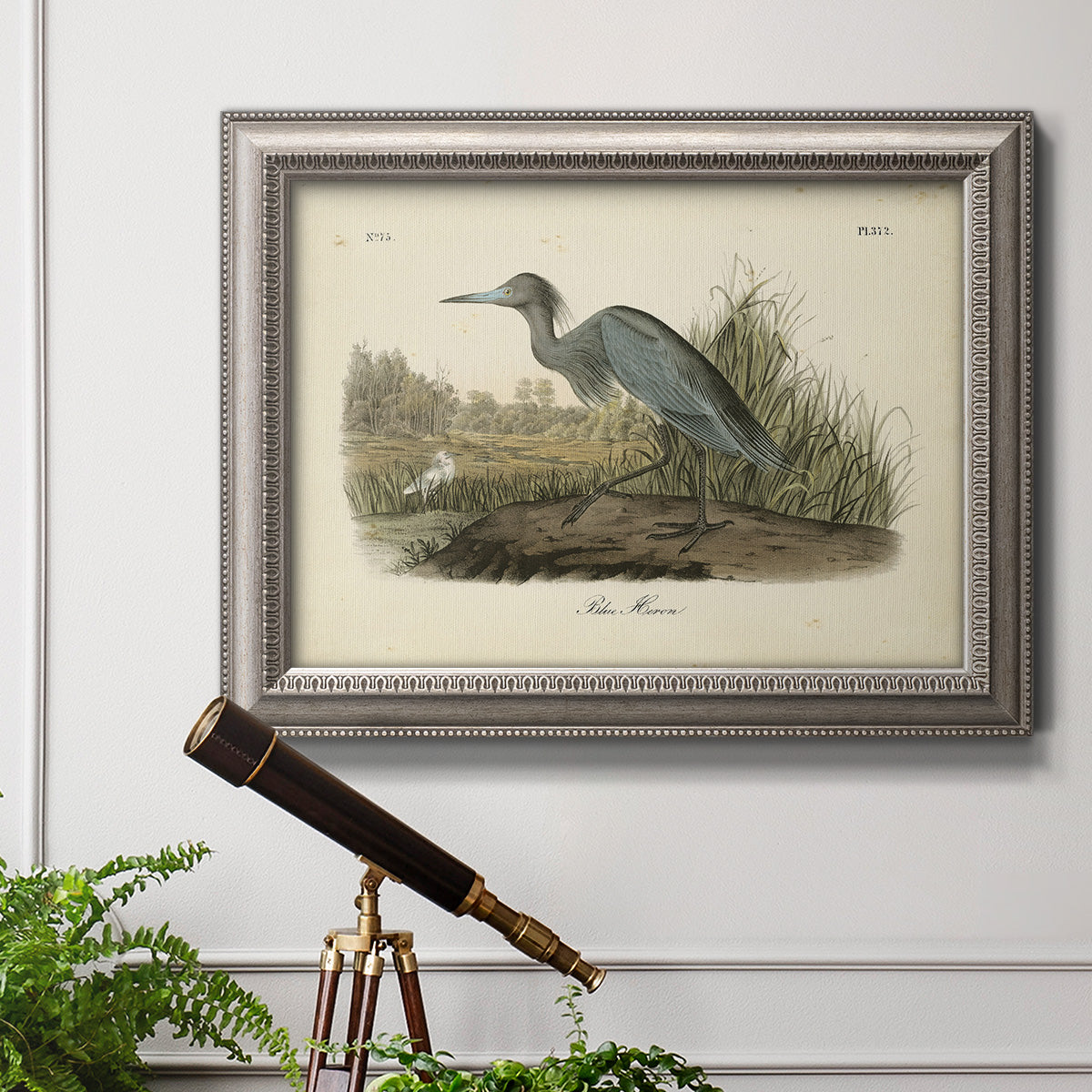 Antique blue heron bird illustration by John James Audubon in an ornate vintage silver frame displayed in a light-toned interior setting.