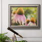 Close-up echinacea bloom photography in an ornate vintage silver frame displayed in a light-toned interior setting.