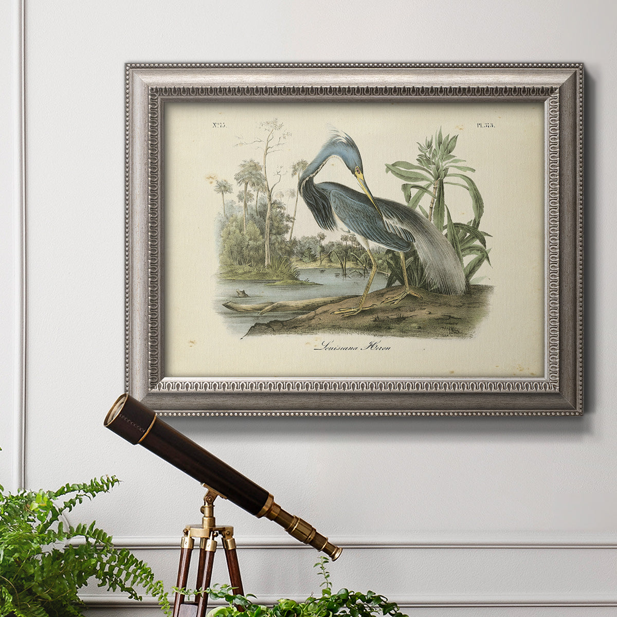 Antique Louisiana heron bird illustration by John James Audubon in an ornate vintage silver frame displayed in a light-toned interior setting.