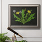 Vintage botanical dandelion flower illustration in an ornate vintage silver frame displayed in a light-toned interior setting.