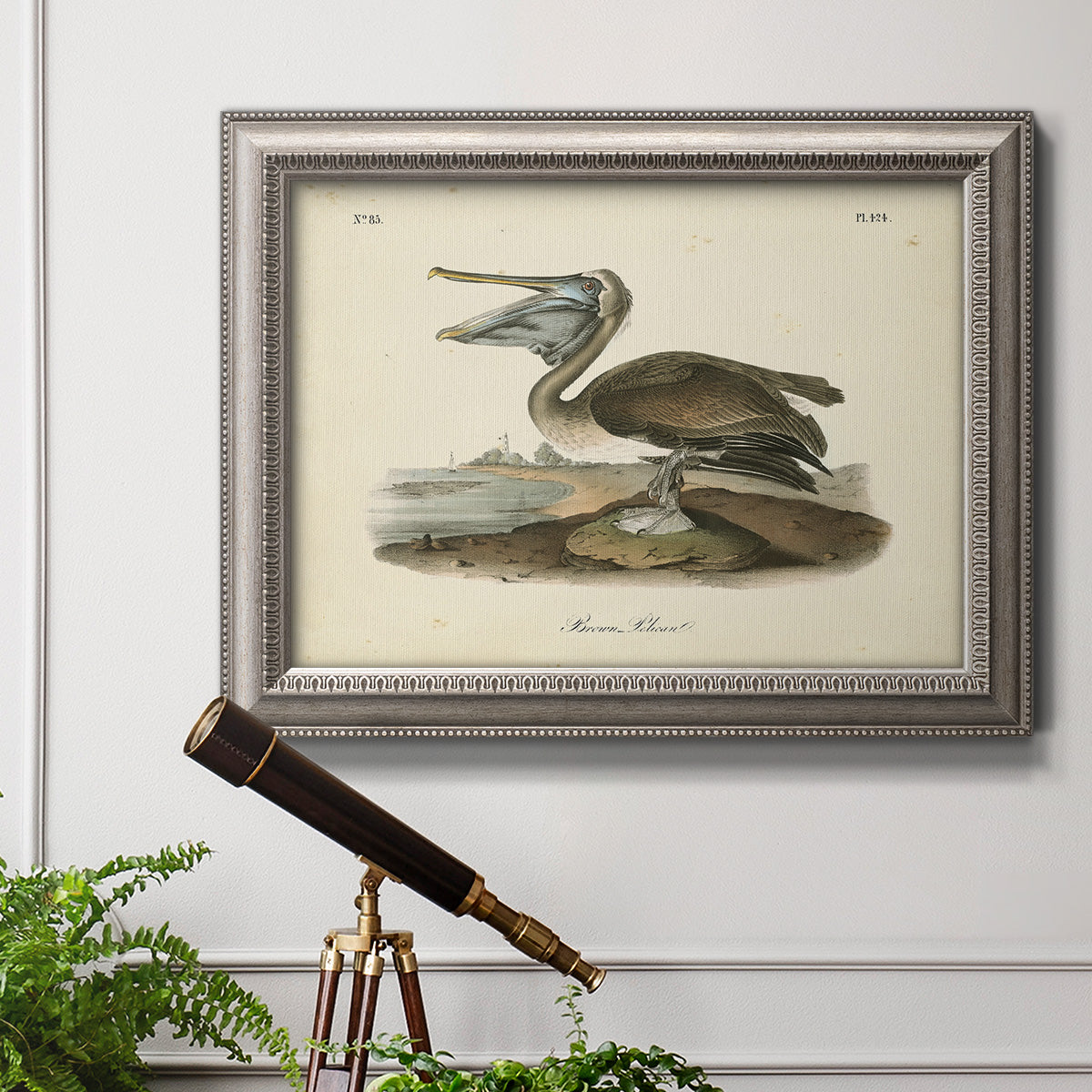 Antique brown pelican bird illustration by John James Audubon in an ornate vintage silver frame displayed in a light-toned interior setting.