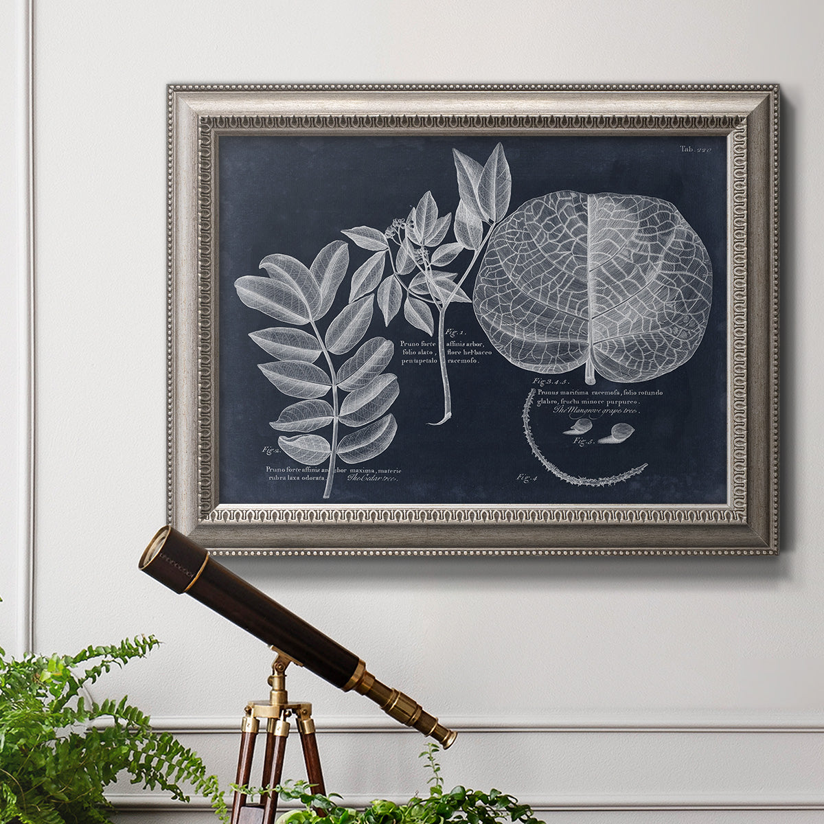 Vintage botanical foliage illustration on navy background in an ornate vintage silver frame displayed in a light-toned interior setting.