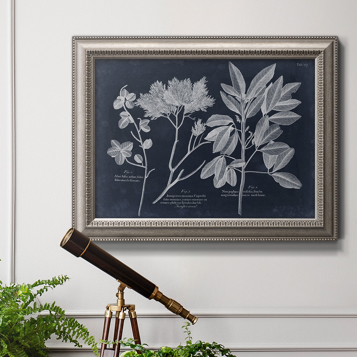 Vintage botanical leaf illustration on dark background in an ornate vintage silver frame displayed in a light-toned interior setting.