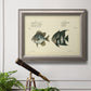 Antique fish chart illustration in an ornate vintage silver frame displayed in a light-toned interior setting.