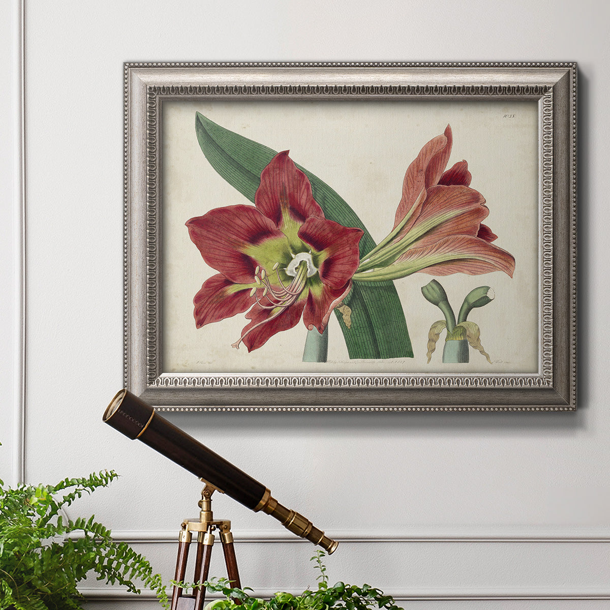 Antique amaryllis botanical flower illustration in an ornate vintage silver frame displayed in a light-toned interior setting.
