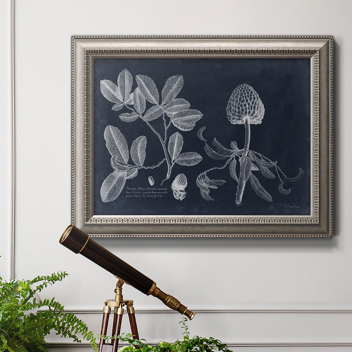 Antique botanical foliage illustration on navy background in an ornate vintage silver frame displayed in a light-toned interior setting.