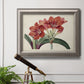 Vintage amaryllis botanical illustration in an ornate vintage silver frame displayed in a light-toned interior setting.